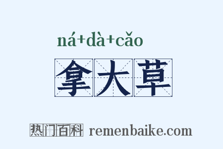 拿大草是什么意思的图片